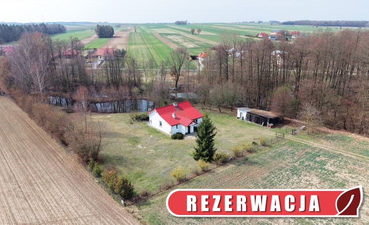 dom na sprzedaż - Borzechów, Kępa Borzechowska