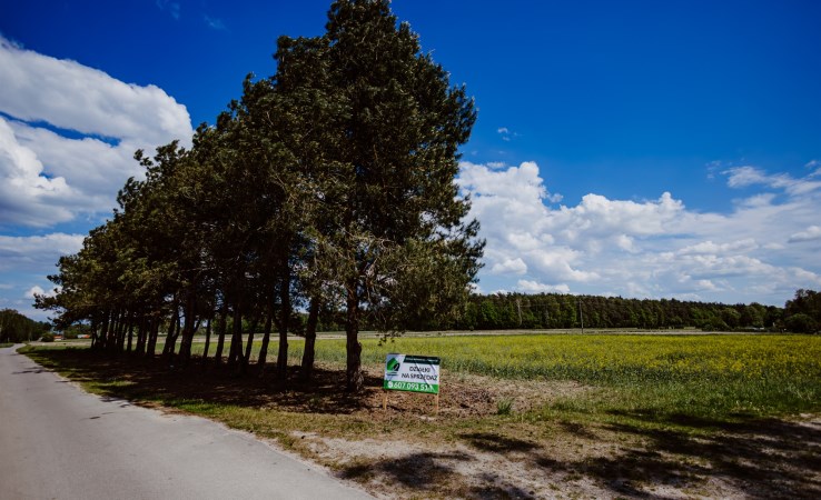 działka na sprzedaż - Borzechów, Kępa Borzechowska